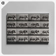 2-88_Eadweard-Muybridge_canvas
