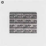 アートメモ帳-Running Pig
 - エドワード マイブリッジ Memo.