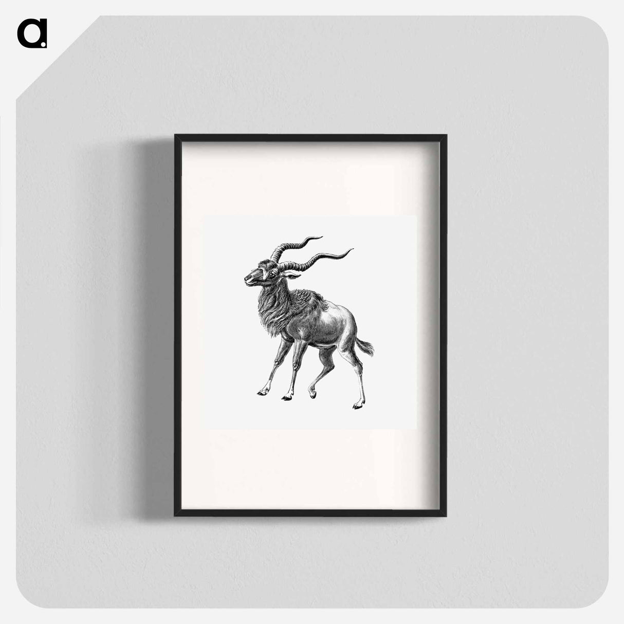 Vintage antelope wildlife illustration - エルンスト ヘッケル Poster.