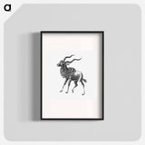 Vintage antelope wildlife illustration - エルンスト ヘッケル Poster.