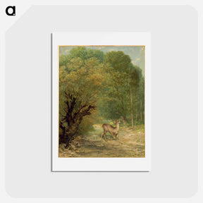 アートポストカード-The Hunted Deer, Spring - ギュスターヴ クールベ Postcard.