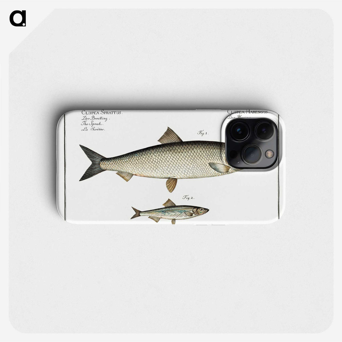 2-88_Ichtyologie-ou-Histoire-naturelle_phone
