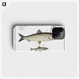 2-88_Ichtyologie-ou-Histoire-naturelle_phone
