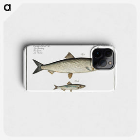 2-88_Ichtyologie-ou-Histoire-naturelle_phone