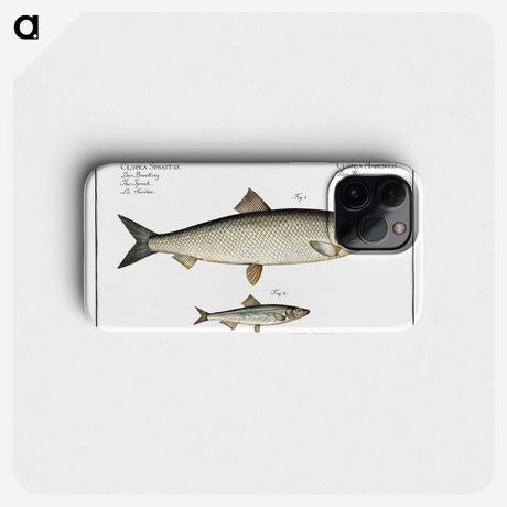 2-88_Ichtyologie-ou-Histoire-naturelle_phone