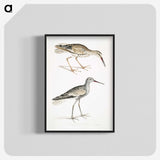 2-88_Indian-Zoology_blk-crop