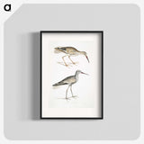 2-88_Indian-Zoology_blk