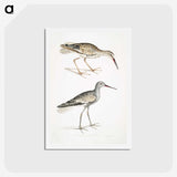 2-88_Indian-Zoology_hagaki