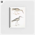 2-88_Indian-Zoology_memo