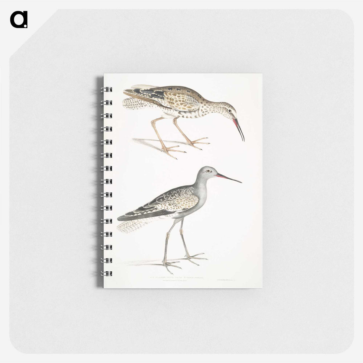 2-88_Indian-Zoology_memo