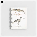 2-88_Indian-Zoology_memo