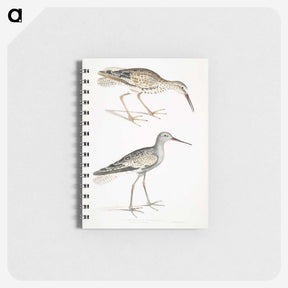 2-88_Indian-Zoology_memo