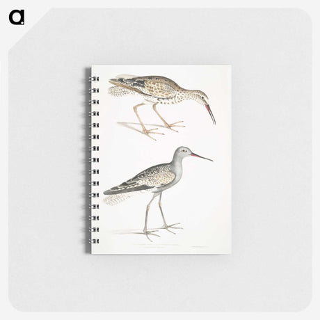 2-88_Indian-Zoology_memo