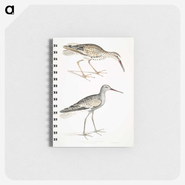 2-88_Indian-Zoology_memo