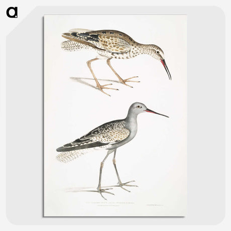 2-88_Indian-Zoology_picture-crop