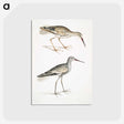 2-88_Indian-Zoology_postcard