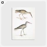 2-88_Indian-Zoology_postcard