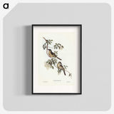 2-88_John-Gould_blk