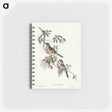 2-88_John-Gould_memo
