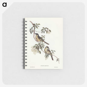2-88_John-Gould_memo