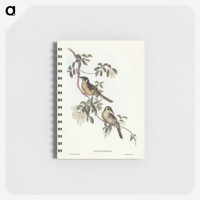 2-88_John-Gould_memo