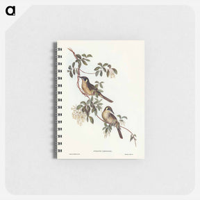 アートメモ帳-Singing Honey-eater
 - ジョン グールド Memo.