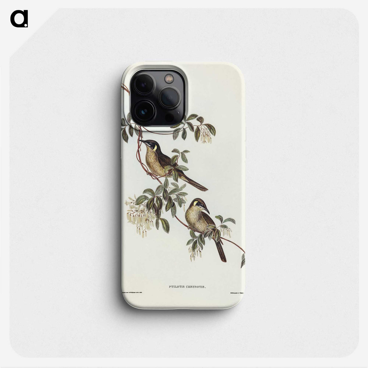 2-88_John-Gould_phone