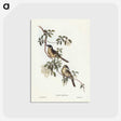 2-88_John-Gould_postcard