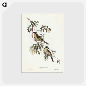 2-88_John-Gould_postcard