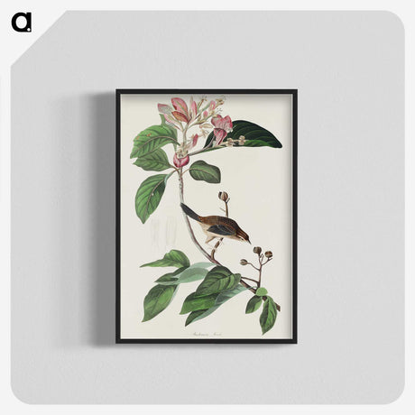 2-88_John-James-Audubon_blk-crop