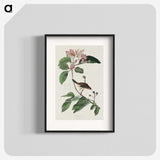 2-88_John-James-Audubon_blk