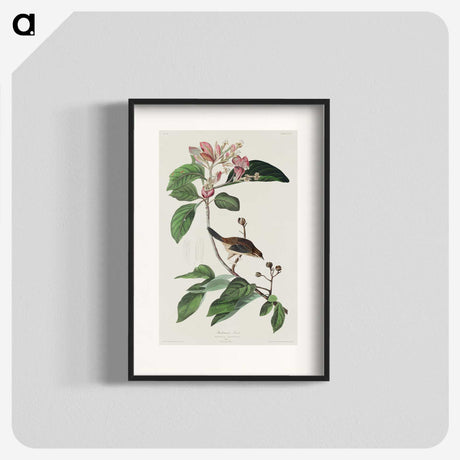 2-88_John-James-Audubon_blk