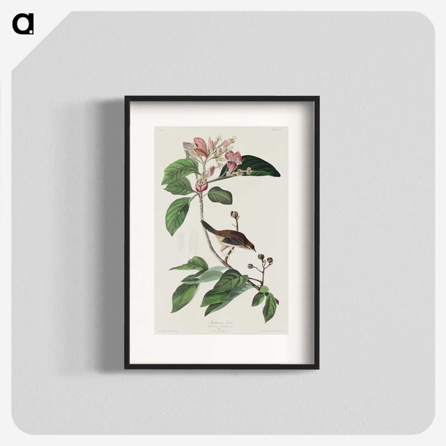 2-88_John-James-Audubon_blk