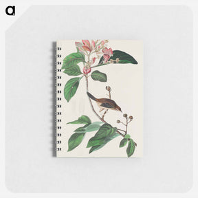 アートメモ帳-Bachman's Finch
 - ジョン ジェームス オーデュボン Memo.