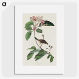 2-88_John-James-Audubon_picture