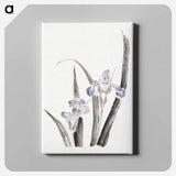 Japanese iris flower - Katsushika Hokusai Canvas.