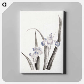アートパネル-Japanese iris flower - 葛飾 北斎 Canvas.