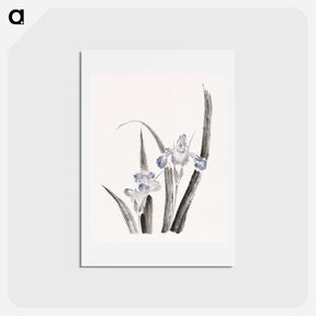 アートポストカード-Japanese iris flower - 葛飾 北斎 Postcard.
