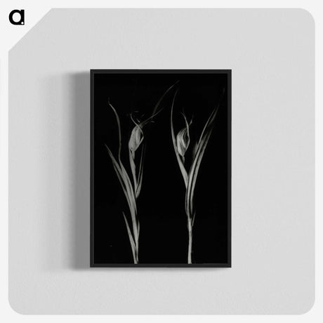 2-88_Leslie-Adkin_blk-crop