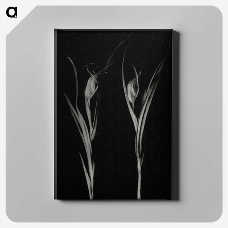 2-88_Leslie-Adkin_canvas
