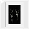 2-88_Leslie-Adkin_picture