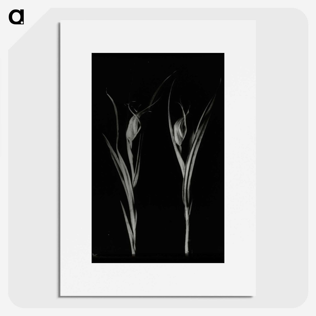 2-88_Leslie-Adkin_picture