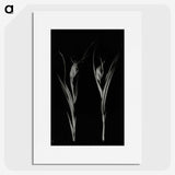 2-88_Leslie-Adkin_picture