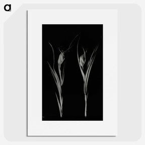 2-88_Leslie-Adkin_picture