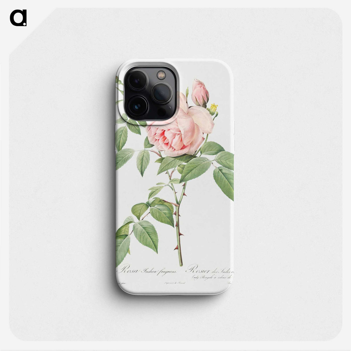 2-88_Pierre-Joseph-Redoute_phone