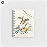 アートメモ帳-Prothonotary Warbler from Birds of America
 - アメリカの鳥たち Memo.