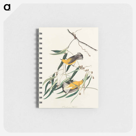 アートメモ帳-Prothonotary Warbler from Birds of America
 - アメリカの鳥たち Memo.
