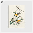 アートポストカード-Prothonotary Warbler from Birds of America
 - アメリカの鳥たち Postcard.