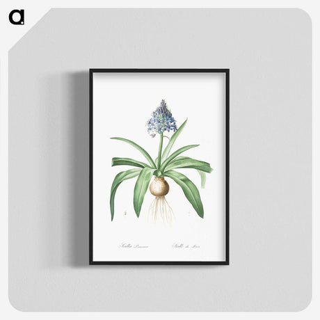 2-88_The-Lilies_blk-crop