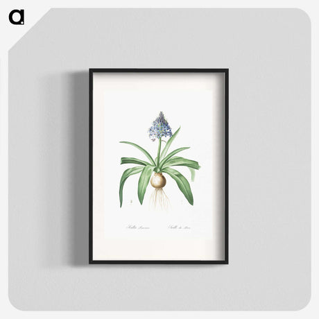 2-88_The-Lilies_blk